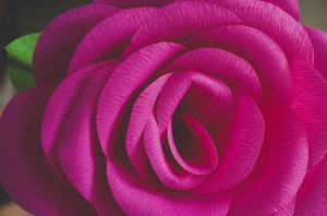 diy-giant-paper-rose-17 diy-giant-paper-rose-17