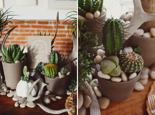 cactus and airplant tablescape