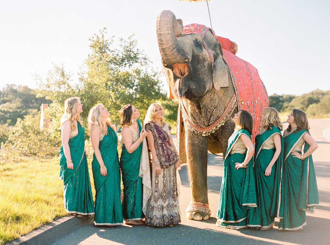 bridesmaids with elephant