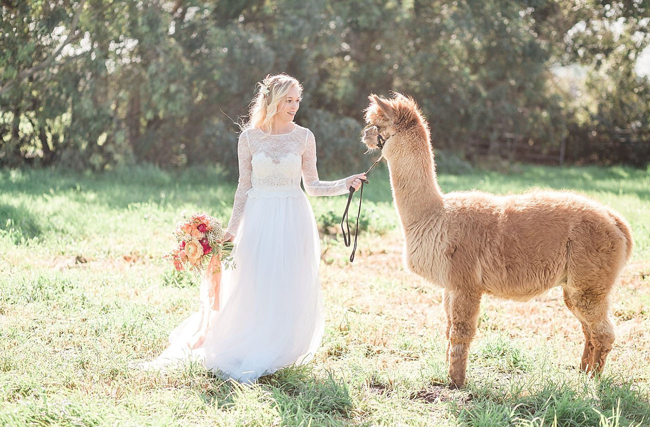 Inspiration for the Romantic, Well-Traveled Bride (Featuring Alpacas!)