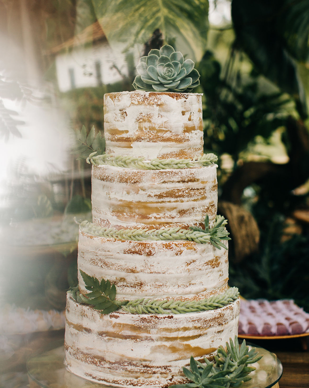 naked succulent cake