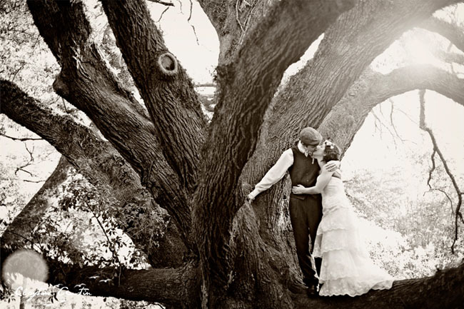 bride and groom in tree