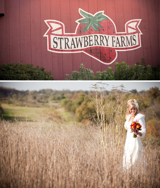 strawberry farms wedding