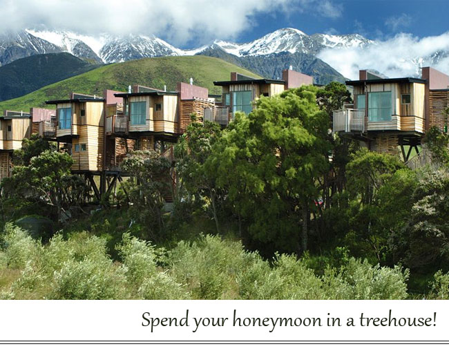new zealand treehouse honeymoon