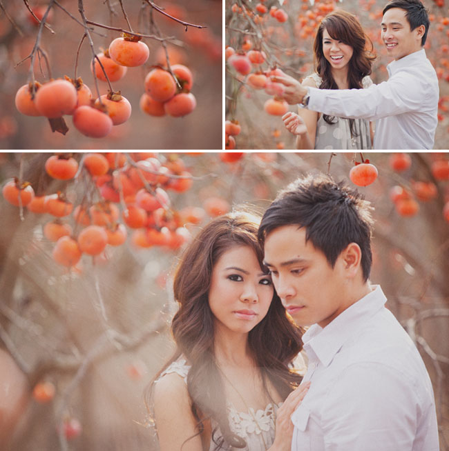 pomegranate orchard engagement session