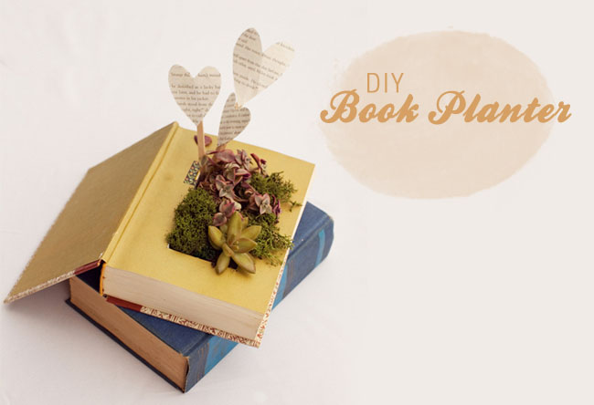 DIY book planter with succulents
