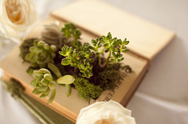 DIY book planter with succulents
