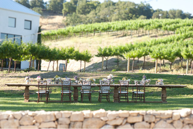 vineyard reception