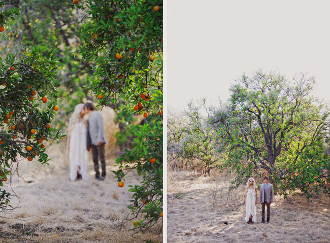 orange grove couple