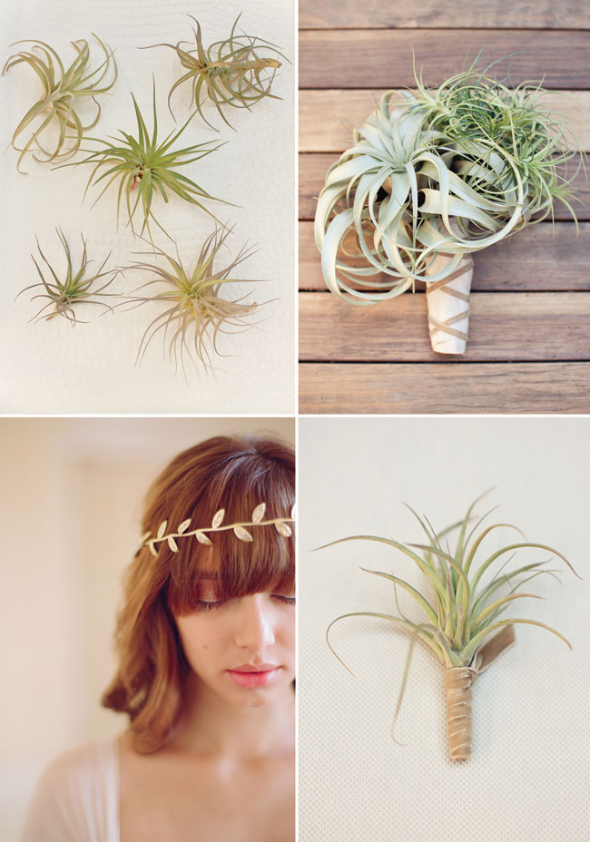 airplant bouquet