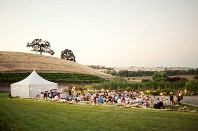 vineyard wedding reception