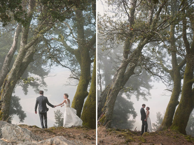 bride and groom in the trees
