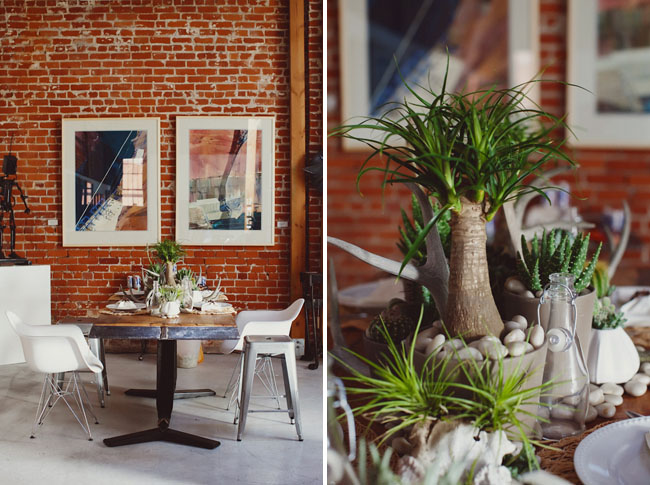 cactus and airplant tablescape