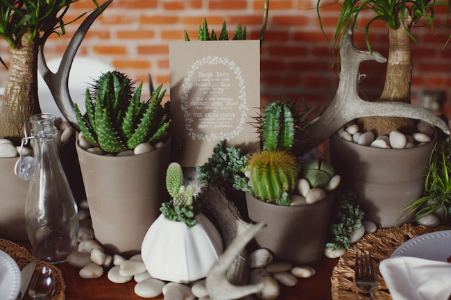 cactus tablecape