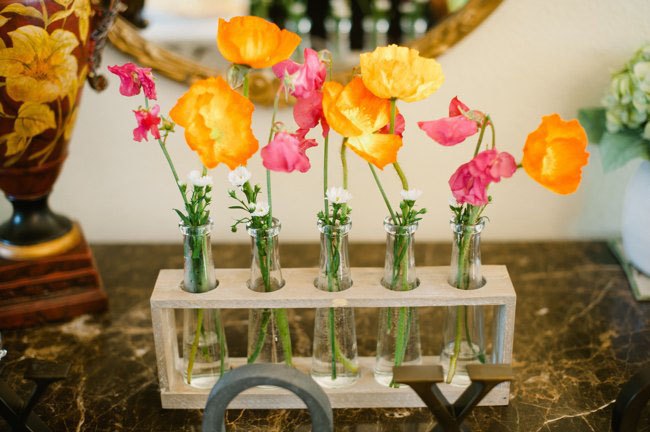 poppies in vases