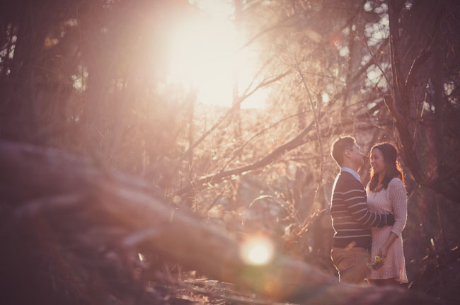 engagement in the woods