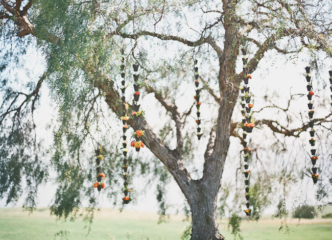 hanging plants ceremony