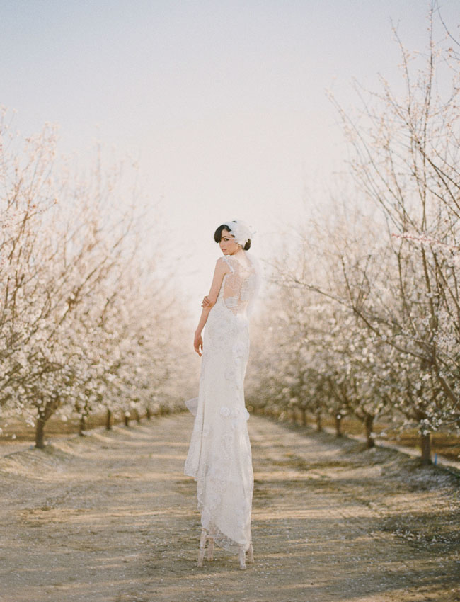 almond orchard styled shoot