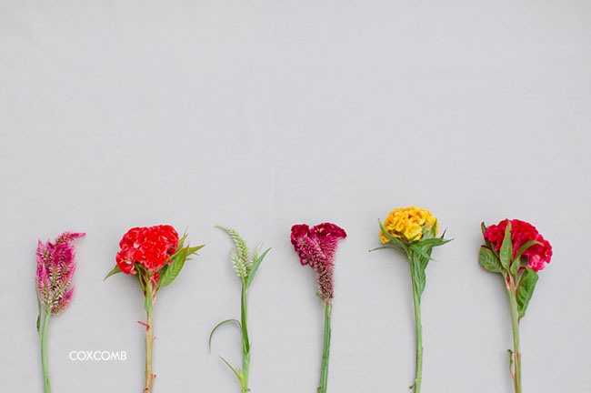 DIY flowers used