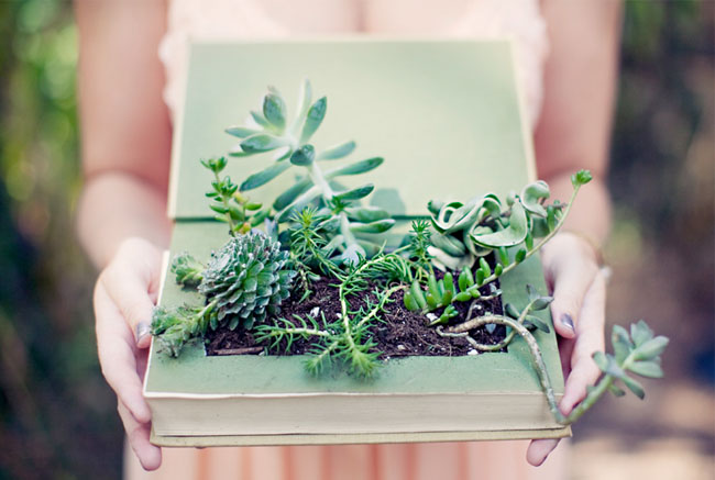 succulent book planter