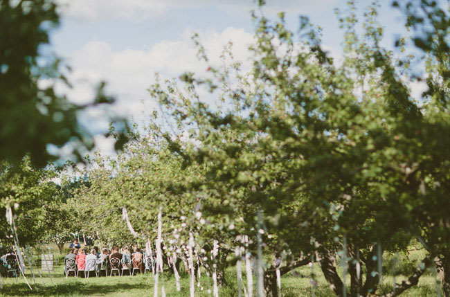 apple orchard wedding