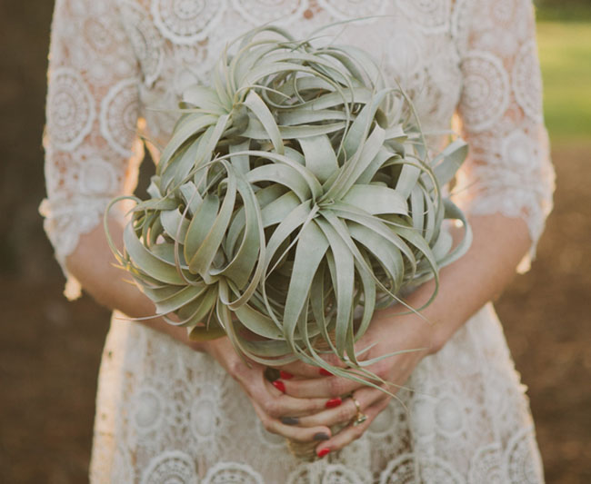 airplant bouquet