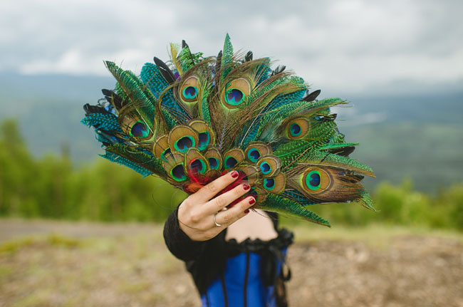 peacock fan