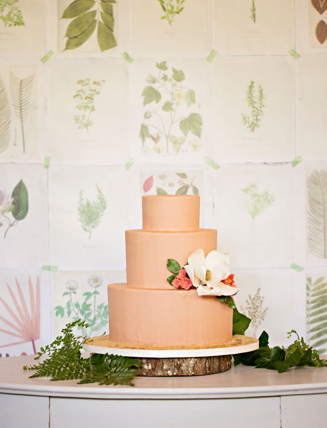 botanical dessert backdrop