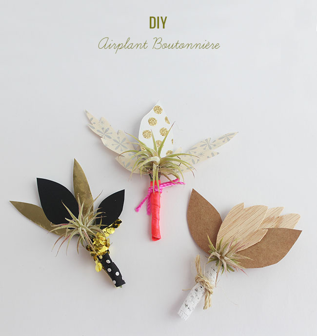 DIY_Airplant_Boutonniere