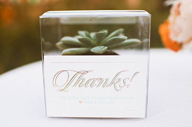 airplant favors