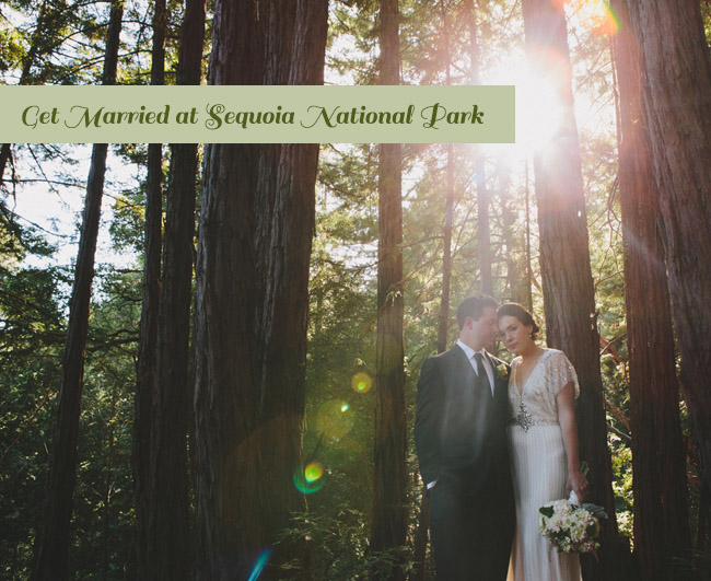 Sequoia National Park Wedding