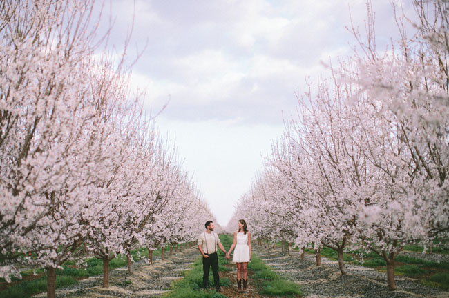 almond blossom engagement