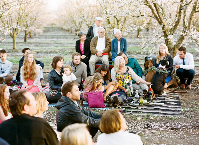 almond orchard wedding