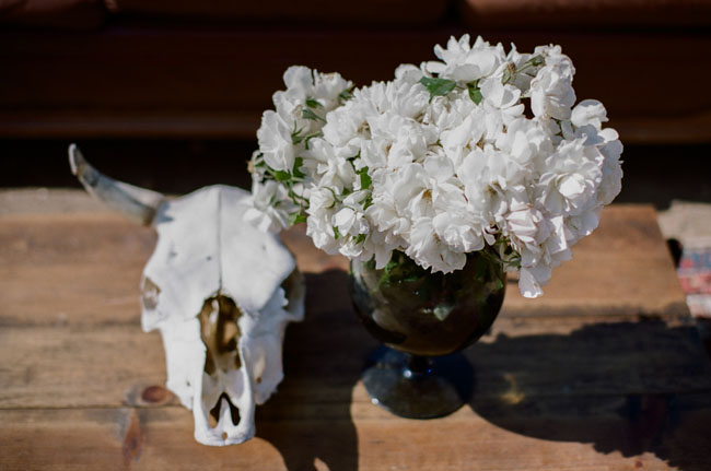 skulls and flowers