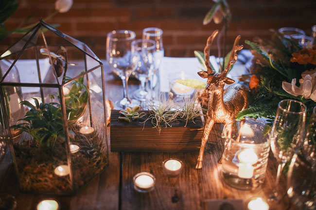 airplant centerpieces