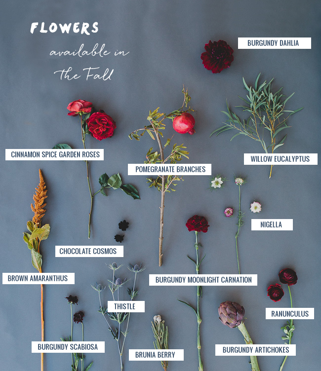 Fall Flower Guide