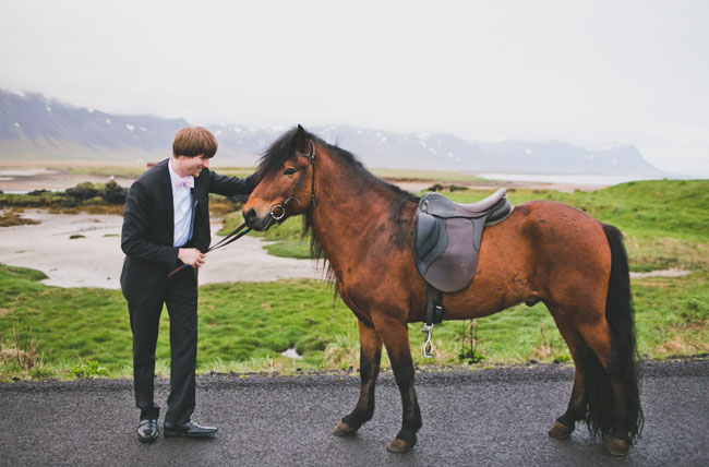Iceland wedding with horse