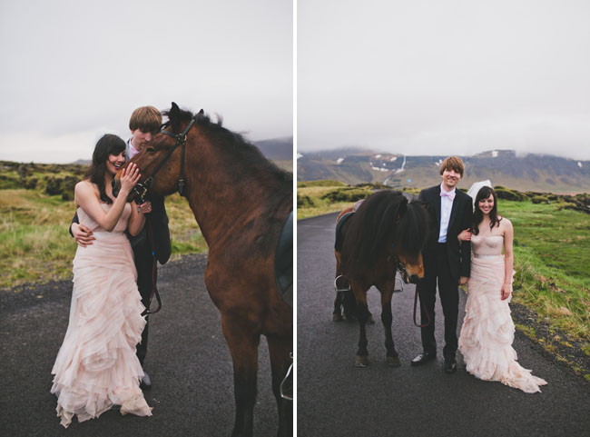 Iceland wedding with horse