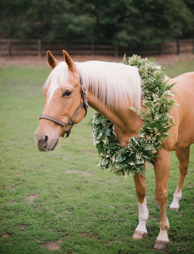horse with wreath