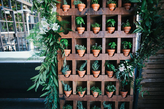 potted plant favors
