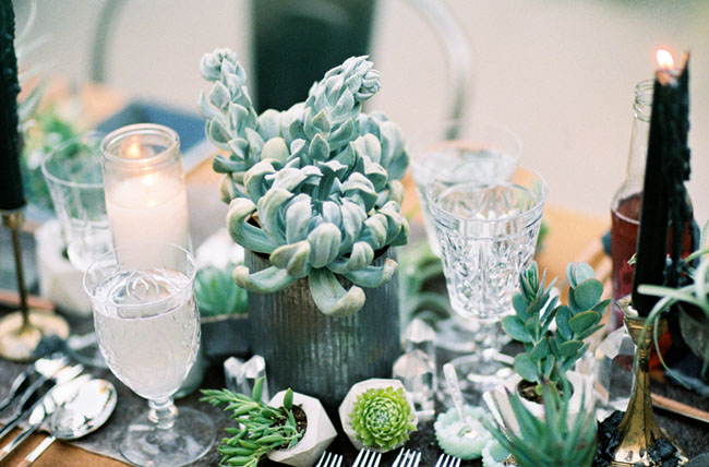 succulent table dcor