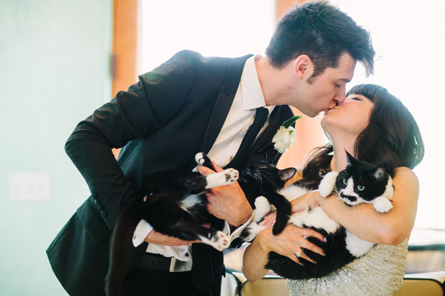 bride and groom with cats