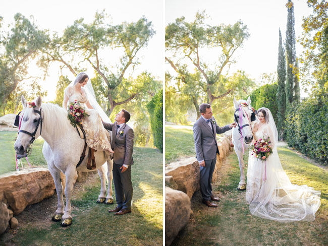 bride and groom with white horse