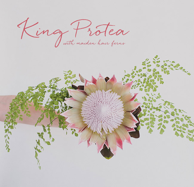 King Protea Bouquet