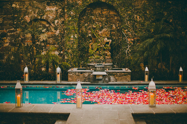 flowers in the pool