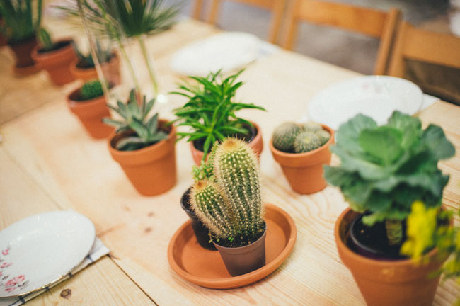 potted plant tablescape