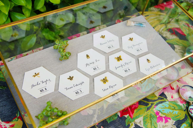 insect escort cards