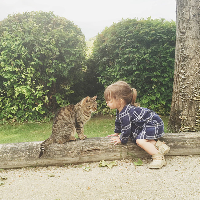 Toddler and Cat in Provence