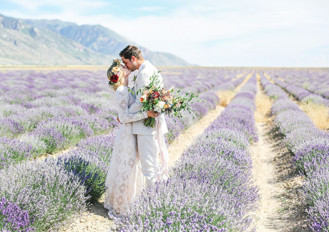 Bridals in a Lavender Field