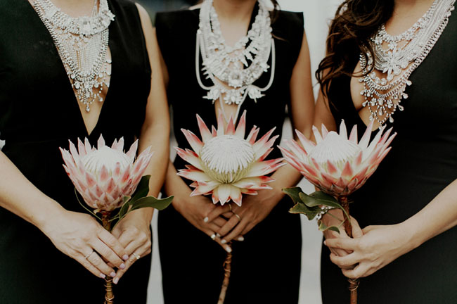 protea bridesmaids